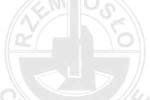 Próbny egzamin czeladniczy dla branży fryzjerskiej - 10.02.2025